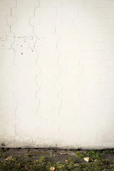 Vieux mur blanc — Photo