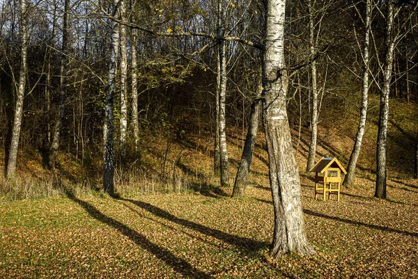 秋の森の大型バードフィーダー — ストック写真