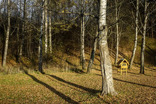 Krmítko pro velké ptáky v podzimním lese — Stock fotografie