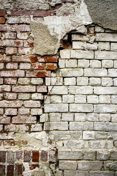 Antiguo ladrillo y yeso textura de la pared de fondo — Foto de Stock