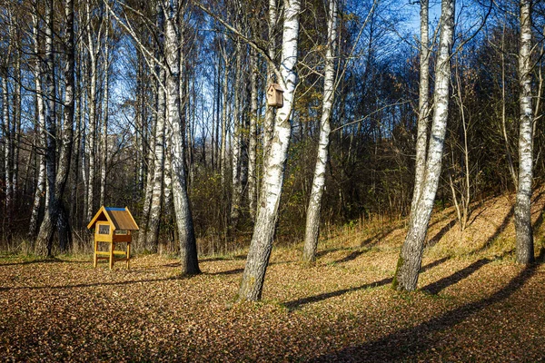 秋の白樺林の大きな鳥のフィーダー 秋の風景 — ストック写真