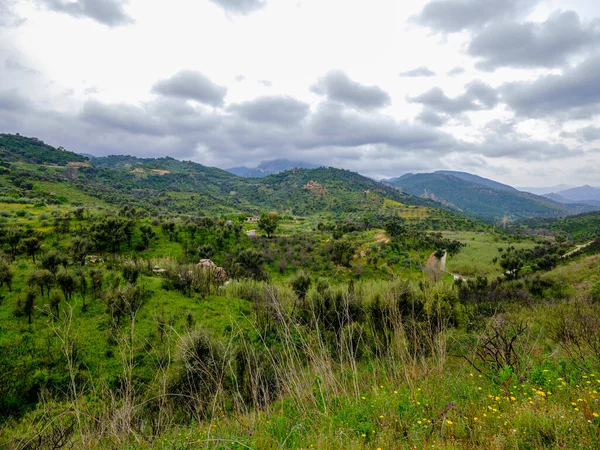 Paisaje Montaña Vegetación Largo Carretera Sp27 Ogliastra Cerdeña Italia — Foto de Stock