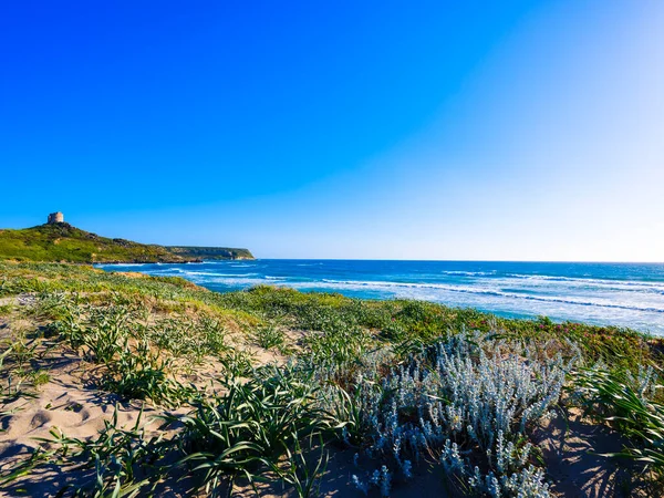 Capo San Marco Beach Spring Tower View Cabras Sardinia Italy — Stock Photo, Image