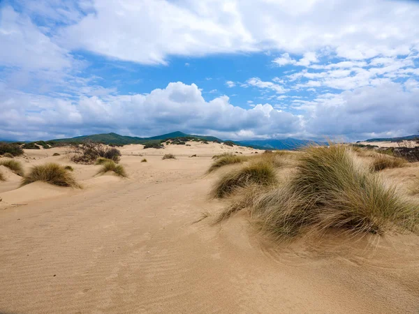 Dunes of Piscinas, the largest natural beach in Europe, Arbus, Sardinia, Italy. The wonderful oasis of Piscinas, with imposing and sinuous dunes of fine, warm golden sand, considered amongst the most beautiful in the world