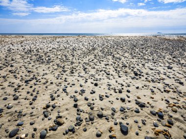 Porto Pino, SantAnna Arresi, Sardunya, İtalya sahillerine saçılmış küçük siyah taşlar ve deniz kabukları.