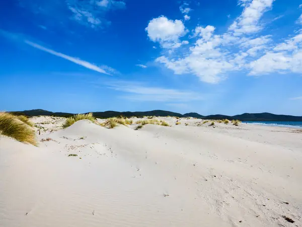 Porto Pino Beach Four Kilometres Long White Sand Dunes Santanna — Stock Photo, Image