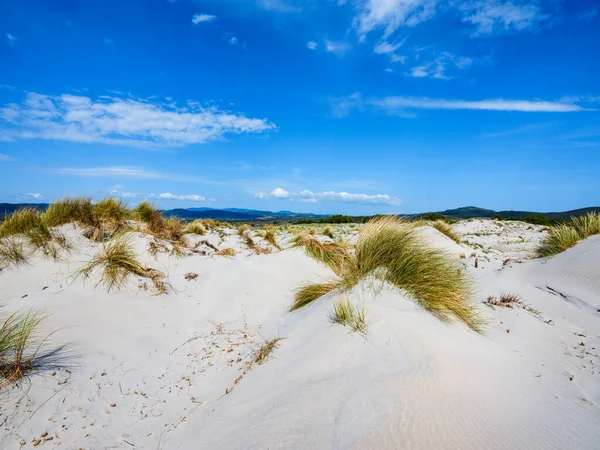 The white sand of Is Arenas Biancas beach, with tall, white dunes called Le Dune, Sant\'Anna Arresi, Sardinia, Italy