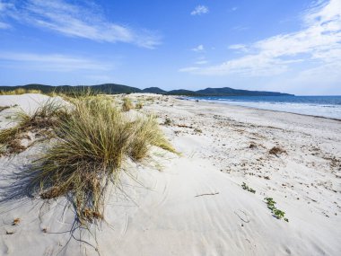Porto Pino plajı, yaklaşık dört kilometre uzunluğunda beyaz kum ve kum tepeleri, SantAnna Arresi, Sardinya, İtalya