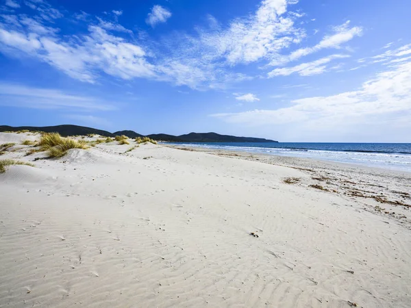 Porto Pino Beach Four Kilometres Long White Sand Dunes Santanna — Stock Photo, Image