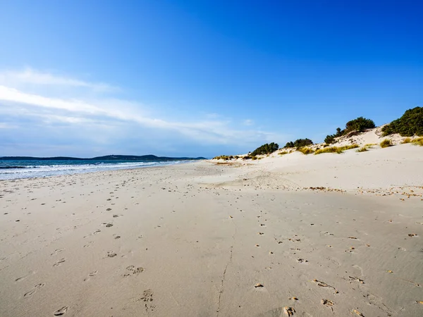 Porto Pino Beach Four Kilometres Long White Sand Dunes Santanna — Stock Photo, Image