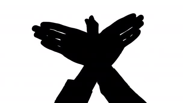 Male hands bird gesture silhouette — Stock Video