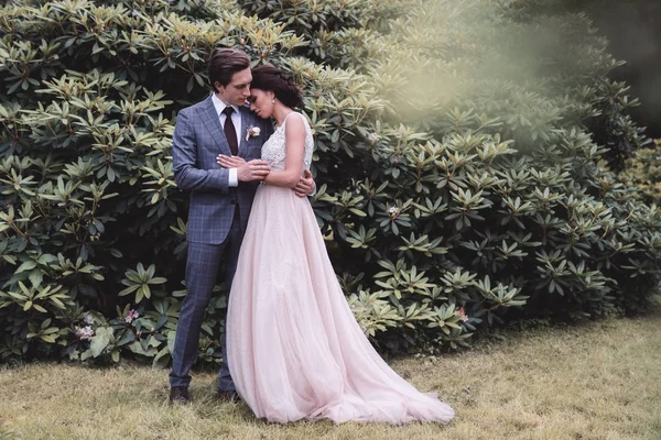 The groom hugs the bride in the park — Stock Photo, Image