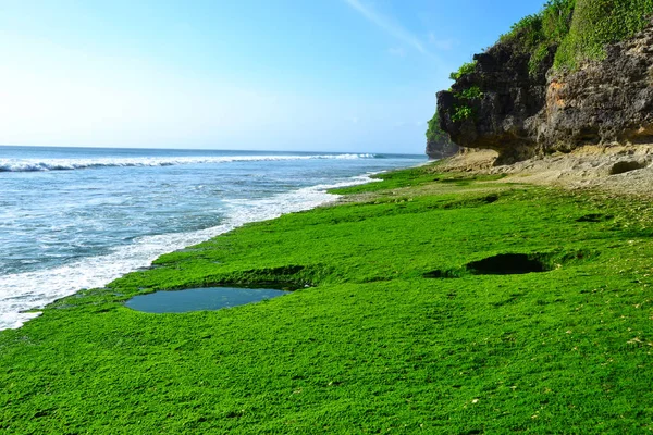 Det vackra landskapet nära havet — Stockfoto