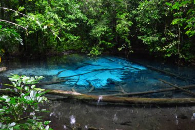 Zümrüt Havuzu, mavi lagün