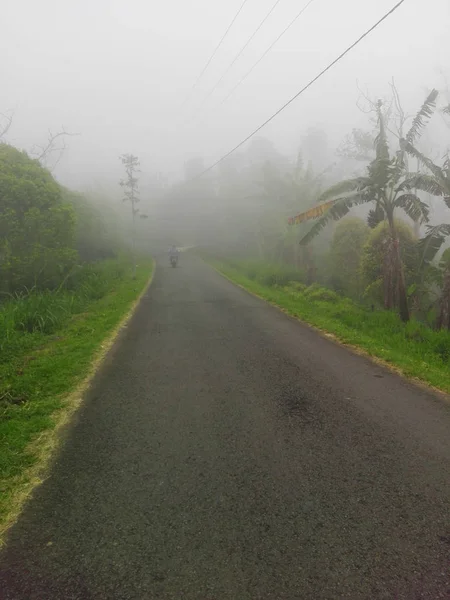 El camino a la montaña a través de la niebla — Foto de Stock