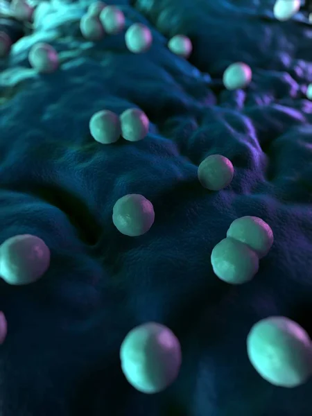 Menumbuhkan koloni bakteri — Stok Foto