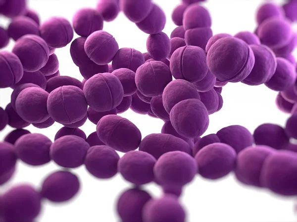 Estrutura bacteriana do Streptococcus — Fotografia de Stock