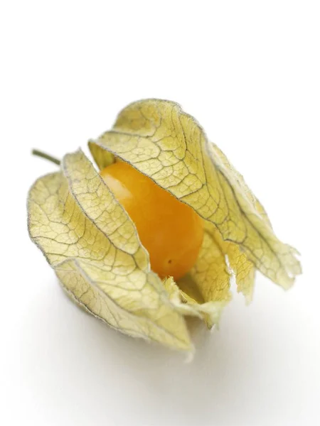 Vista Perto Dos Frutos Physalis — Fotografia de Stock