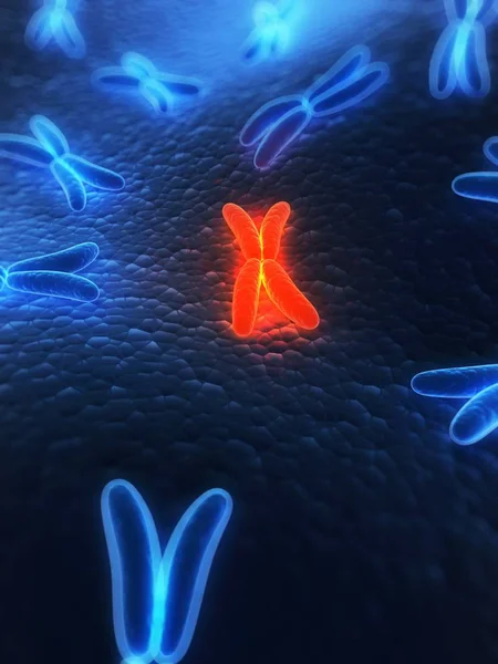 Structura cromozomului metafazei — Fotografie, imagine de stoc