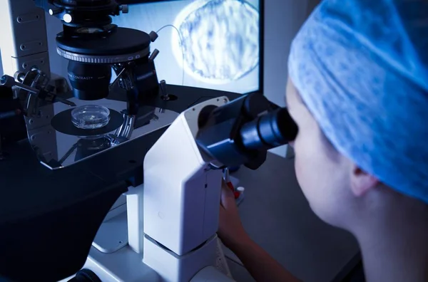 Kvinnliga Forskare Tittar Mikroskop Vitro Befruktning Laboratorium — Stockfoto