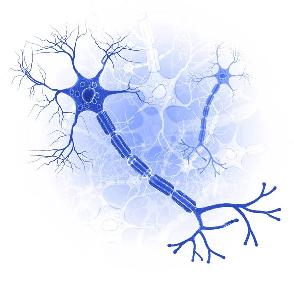 Nerve cells and synapse — Stock Photo, Image