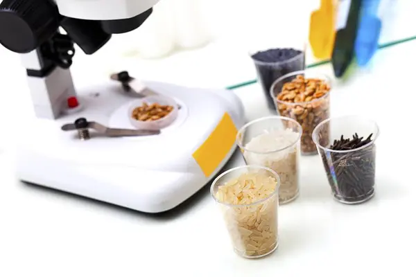 Arroz Milho Recipientes Com Equipamento Laboratório Para Pesquisa Alimentos — Fotografia de Stock