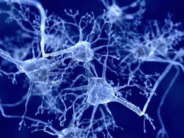 신경 세포와 세포 접속점 — 스톡 사진