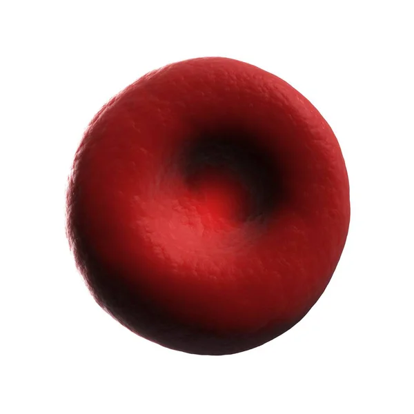 Normal human red blood cell — Stock Photo, Image