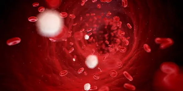 Corriente sanguínea mostrando glóbulos rojos — Foto de Stock