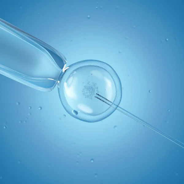 In vitro fertilisation — Stock Photo, Image