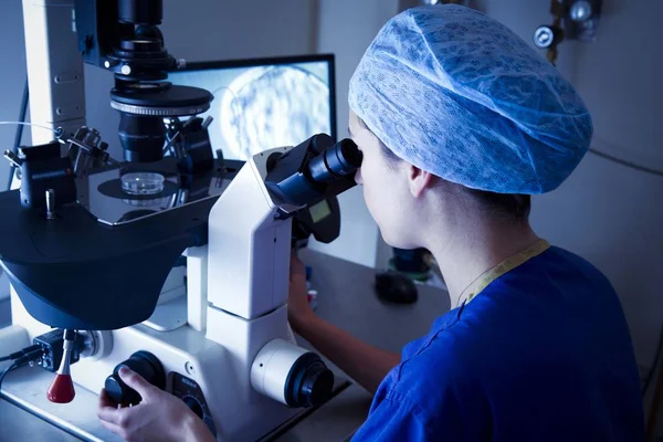 Cientista Olhando Microscópio Vitro Laboratório Fertilização — Fotografia de Stock