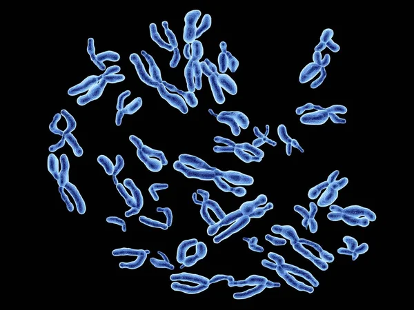 Normale menselijke chromosomen — Stockfoto