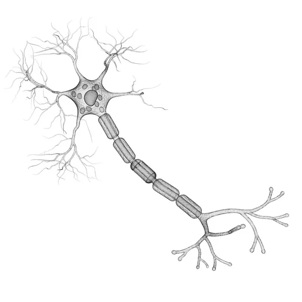 Нервные клетки и синапс — стоковое фото