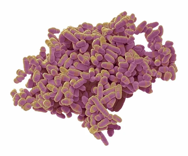 Kolorowe Skanowanie Mikroskopu Elektronowego Sem Schizosaccharomyces Pombe Drożdży — Zdjęcie stockowe