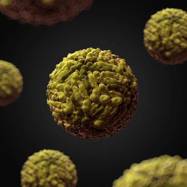 Οπτική απόδοση του ιού δάγκειος πυρετός — Φωτογραφία Αρχείου