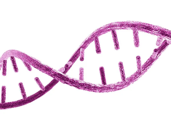 Расстегнутая молекула ДНК — стоковое фото