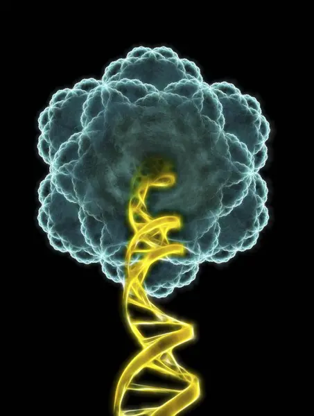 Viral DNA visualization — Stock Photo, Image