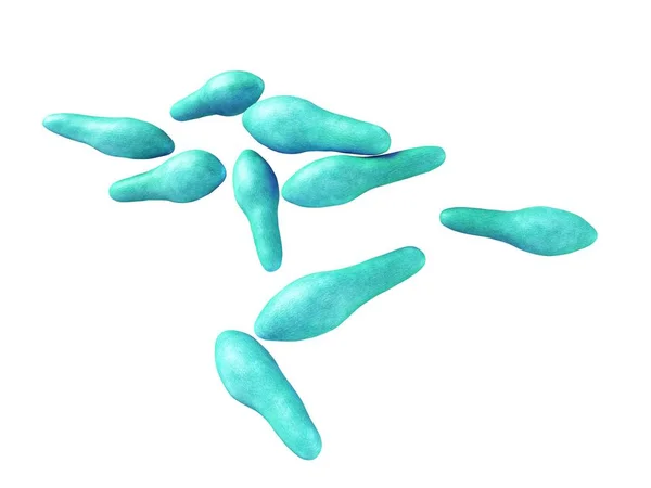 Clostridium bacteriën kolonie — Stockfoto