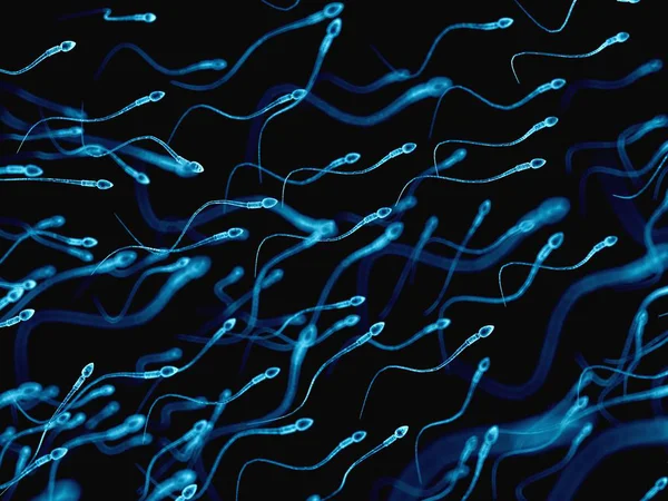 人間の精子細胞 — ストック写真