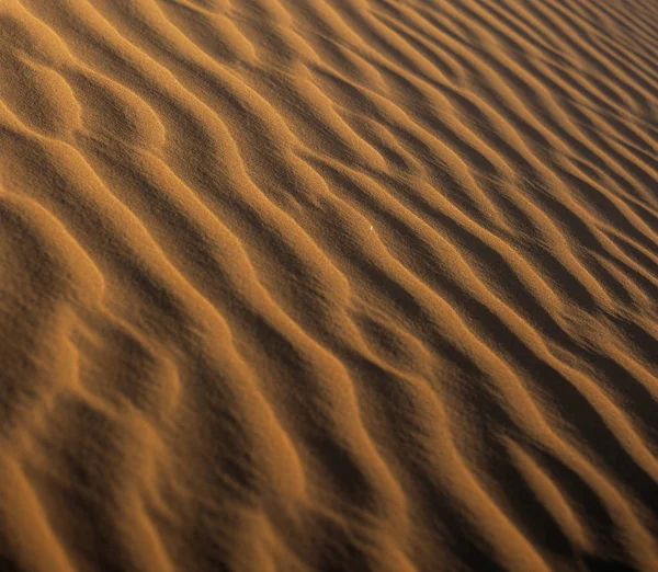 Реки Песчаной Дюне Пустыни Оаэ — стоковое фото