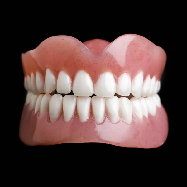 Model of human teeth — Stock Photo, Image