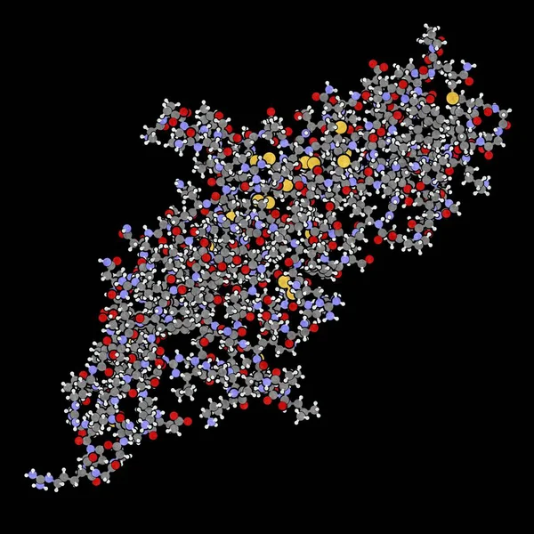 Hormone chorionique gonadotrophine humaine — Photo