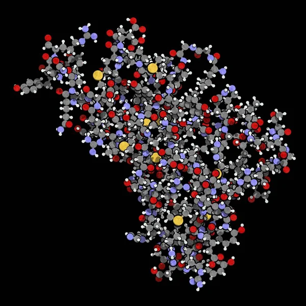 Mänskliga prion proteinmolekyl — Stockfoto