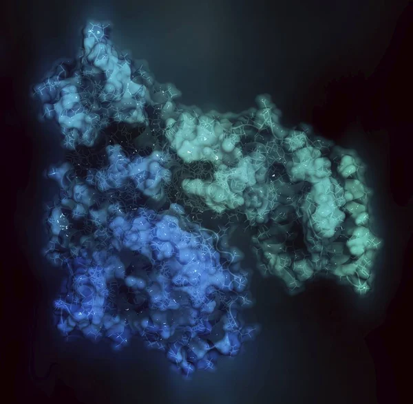 Molécula de albumina sérica humana — Fotografia de Stock