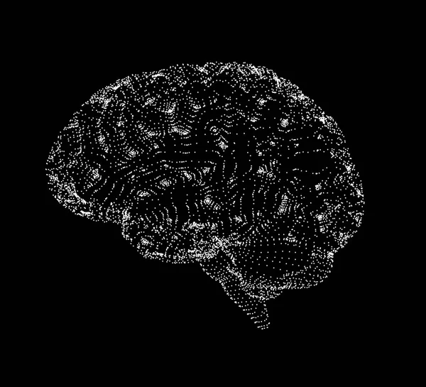 Az emberi agy vizuális megjelenítő — Stock Fotó