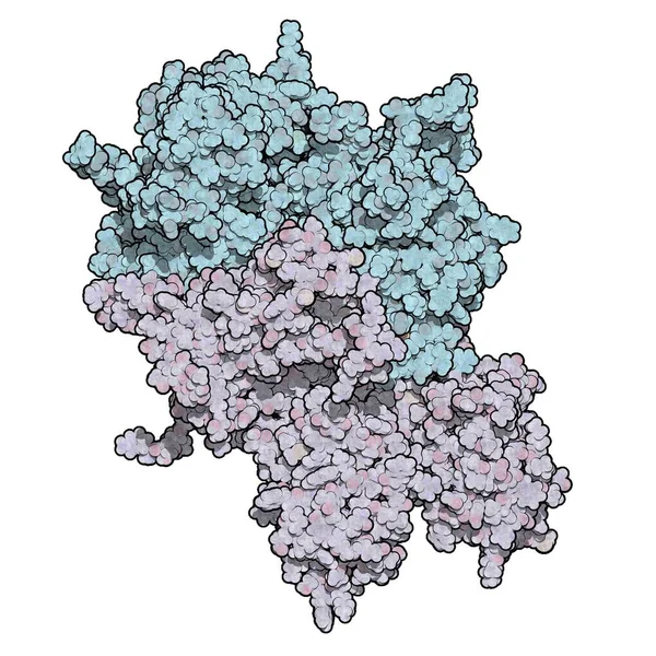 Coagulation factor VIII molecule — Stock Photo, Image
