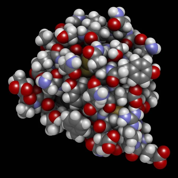 Молекула инсулинового гормона — стоковое фото