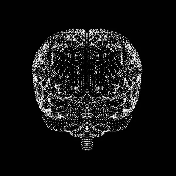 Visual rendering of human brain — Stock Photo, Image