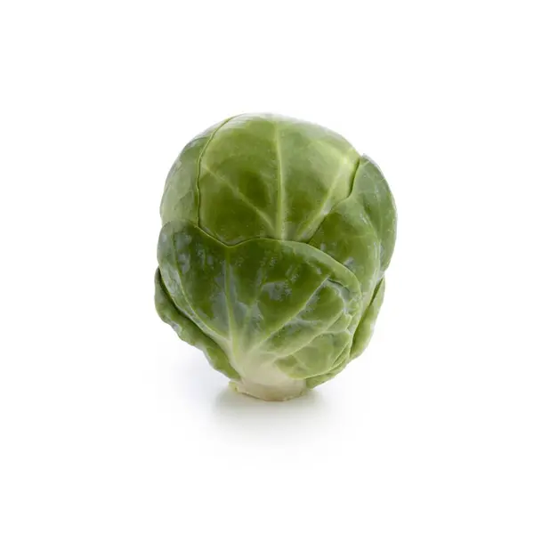 Brussels Sprout White Background — Stock Photo, Image