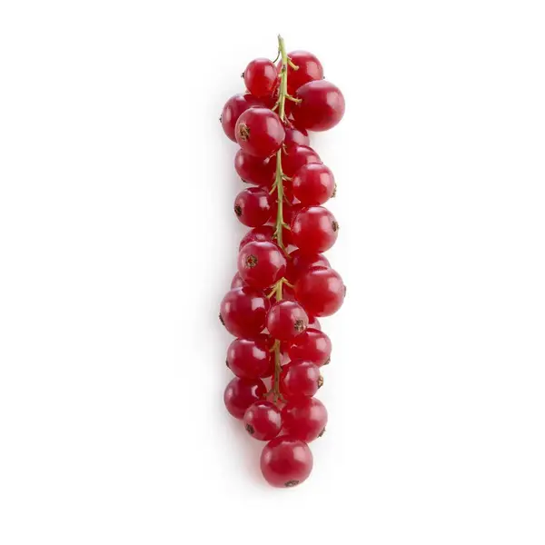 Close View Redcurrant Berries White Background — Stock Photo, Image